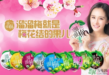溜溜梅是梅花結(jié)的果嗎？溜溜梅的功效作用