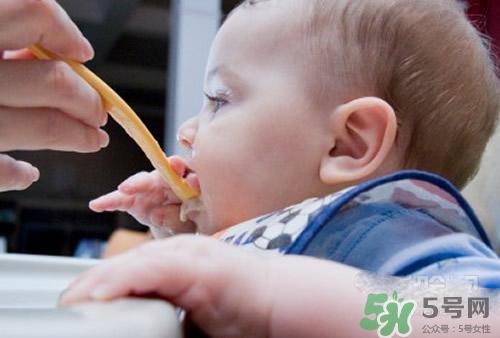 6個月的寶寶可以吃肉泥嗎？寶寶幾個月可以吃肉泥？