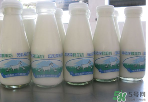 鮮羊奶可以直接喝嗎？鮮羊奶怎么喝最好？