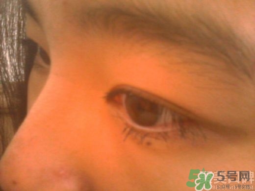 菲詩小鋪睫毛膏怎么樣？the face shop睫毛膏好用嗎？