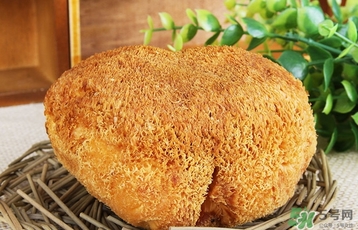 猴頭菇怎么吃？猴頭菇的功效與作用