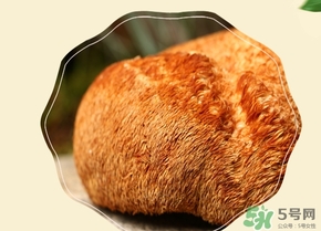 猴頭菇怎么吃？猴頭菇的功效與作用