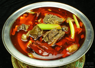 狗肉不能和什么一起吃？狗肉和什么相克？