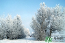 立冬養(yǎng)生需要注意什么?立冬之際得養(yǎng)生得當(dāng) 立冬養(yǎng)生需要注意什么?立冬之際得養(yǎng)生得當(dāng)