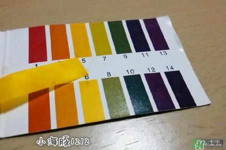 賽貝格哪里買？賽貝格哪里有專柜？
