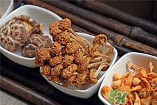 滑子菇的營養(yǎng)價(jià)值 滑子菇的功效與作用