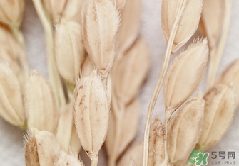 韓律適合什么膚質(zhì)？韓律適合敏感肌膚嗎？