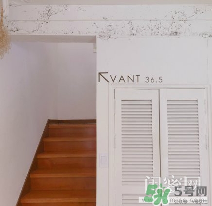vant氣墊粉底霜怎么樣？vant36.5粉霜粉膏好用嗎？