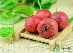 新鮮山楂什么時(shí)候上市？新鮮山楂什么時(shí)候成熟？