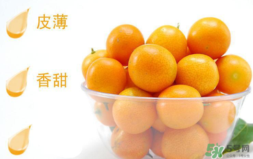 金桔可以帶皮吃嗎？金桔皮能吃嗎？