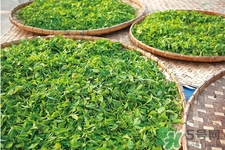 冬天可以喝綠茶嗎？冬天喝綠茶好還是紅茶好？