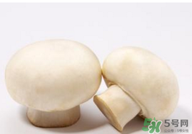 口菇變黑還能吃嗎？口菇的營養(yǎng)價(jià)值