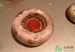 口菇變黑還能吃嗎？口菇的營養(yǎng)價(jià)值
