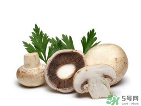 草菇怎么保存？新鮮草菇怎么保存？