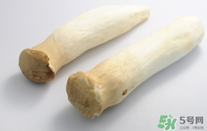 雞腿菇長白毛能吃嗎？雞腿菇怎么做好吃？