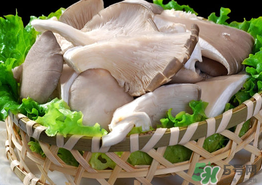 蘑菇可以放冰箱嗎？蘑菇放冰箱長(zhǎng)毛了能吃嘛？