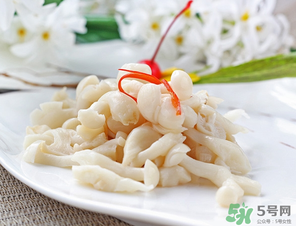 白玉菇孕婦能吃嗎？孕婦可以吃白玉菇嗎？