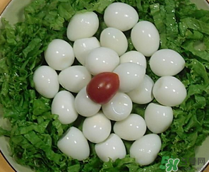 鵪鶉蛋一天吃幾個合適？鵪鶉蛋一天最多吃幾個？