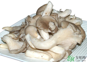 平菇怎么保存？平菇能放幾天？