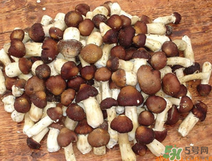 草菇可以放冰箱嗎？草菇放冰箱還能吃嗎？