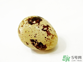 鵪鶉蛋不能和什么一起吃？鵪鶉蛋不能與什么同食？