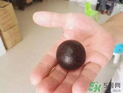 羊?qū)毷鞘裁矗垦驅(qū)殲槭裁催@么貴？