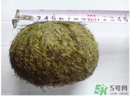 羊?qū)毷鞘裁?？羊?qū)殲槭裁催@么貴？