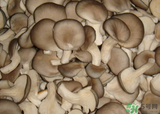 吃平菇有什么好處？平菇怎么做好吃？