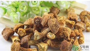 巴西蘑菇怎么吃？巴西蘑菇的作用與功效