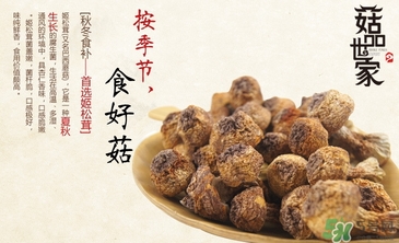 巴西蘑菇怎么吃？巴西蘑菇的作用與功效