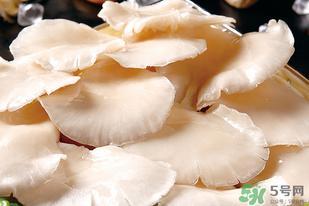 平菇怎么洗？平菇怎么洗才干凈？