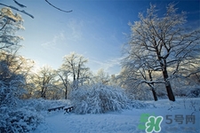 下雪天適合吃什么？下雪天吃什么食物好？