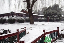 下雪高鐵會停運嗎？下雪天會影響高鐵嗎？