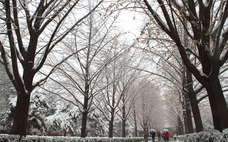 降雪的必要條件 降雪量的等級(jí)標(biāo)準(zhǔn)