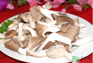 孕婦可以吃平菇嗎？孕婦吃平菇有什么好處？