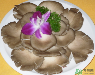 平菇是發(fā)物嗎？平菇是不是發(fā)物？