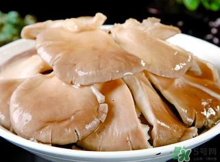 平菇是發(fā)物嗎？平菇是不是發(fā)物？