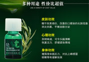 the body shop茶樹精油怎么用？美體小鋪茶樹精油怎么打開