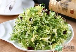 苦菊可以減肥嗎？苦菊怎么吃可以減肥？