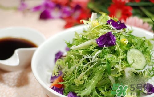 苦菊可以減肥嗎？苦菊怎么吃可以減肥？