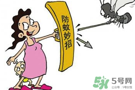 冬天為什么會有蚊子？冬天家里有蚊子怎么辦？