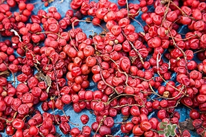 五味子茶韓國(guó)怎么喝？五味子茶的五種味道代表什么？