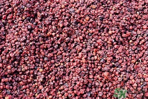 五味子茶韓國(guó)怎么喝？五味子茶的五種味道代表什么？