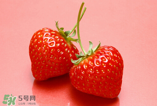 冬天有草莓嗎？冬天的草莓能吃嗎？