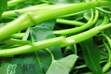 冬天可以吃空心菜嗎？冬天排毒多吃空心菜