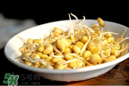 冬天可以發(fā)豆芽嗎？冬天怎樣發(fā)黃豆芽？