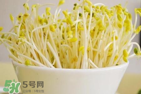 冬天可以發(fā)豆芽嗎？冬天怎樣發(fā)黃豆芽？