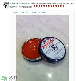 史密斯花蕾膏怎么用？史密斯花蕾膏使用方法