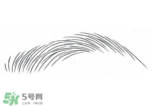 掉眉毛是怎么回事？掉眉毛還會長嗎？