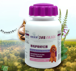 泰迪吃蝦紅素好嗎？蝦紅素的功效與作用